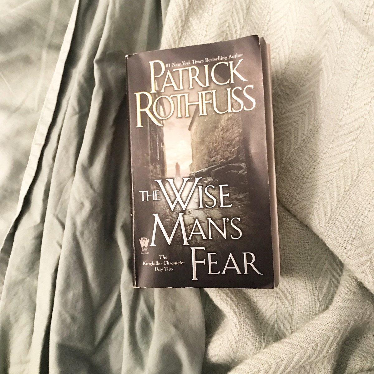 Review: The Wise Man’s Fear by Patrick Rothfuss – takes two to book review