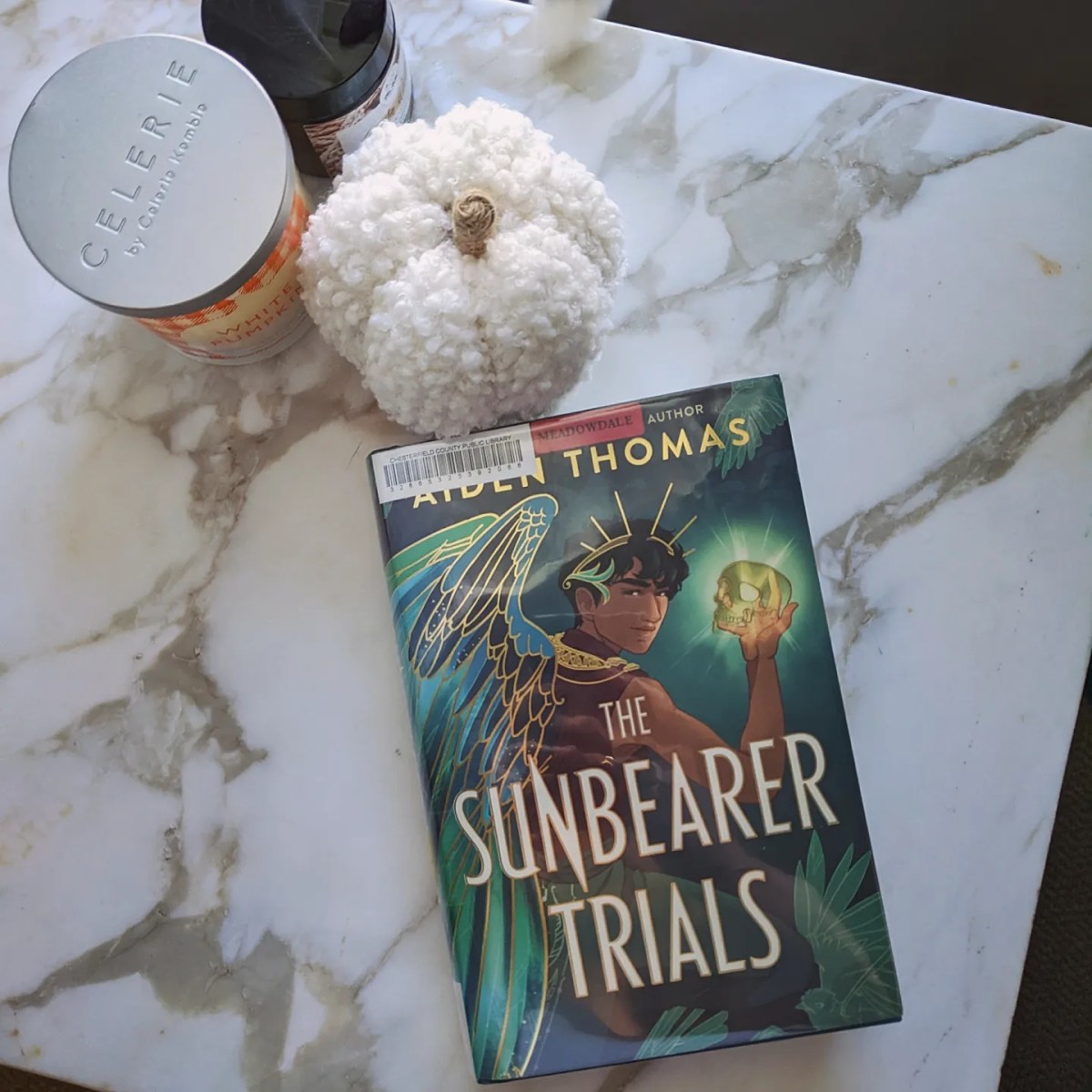 Review: The Sunbearer Trials by Aiden Thomas - takes two to book review