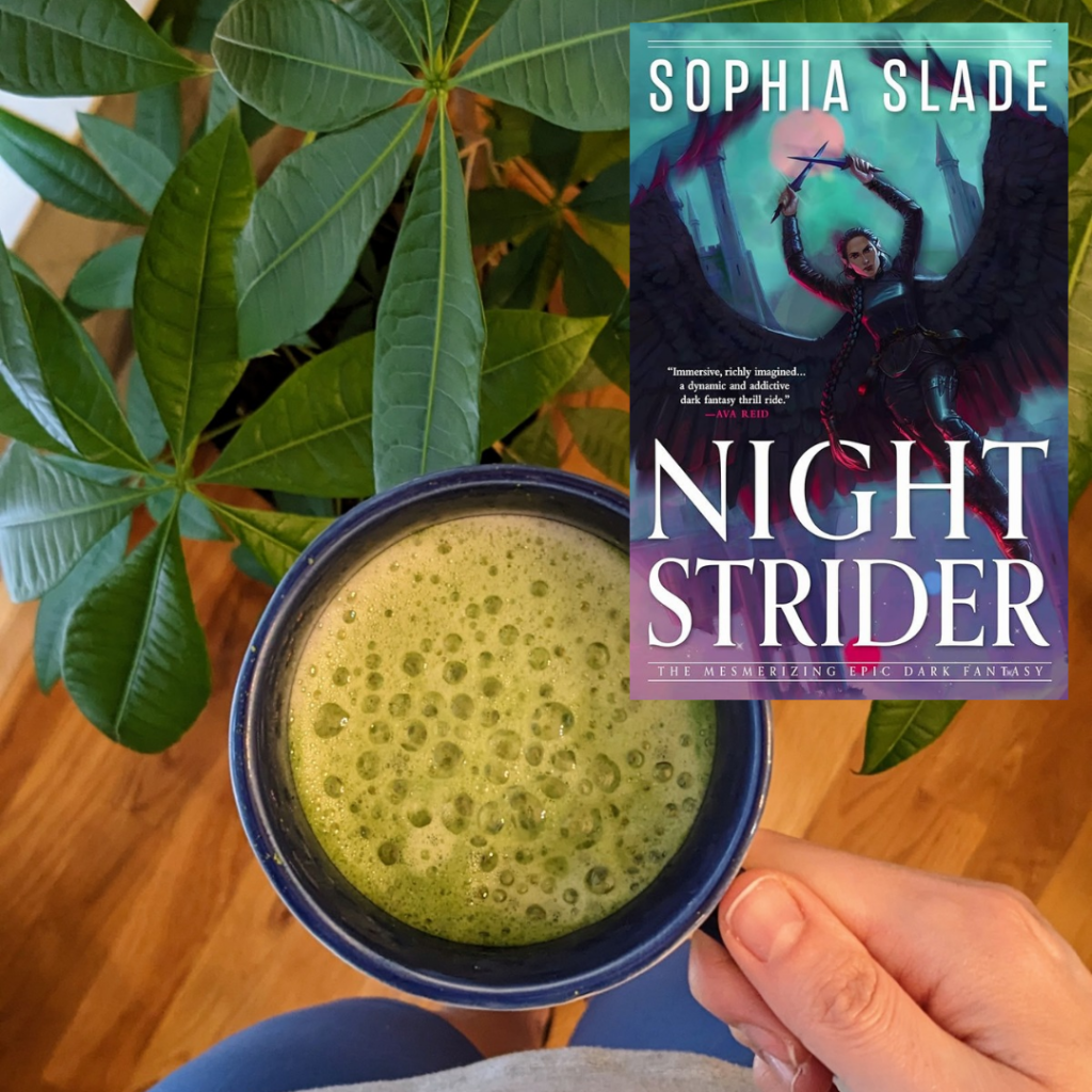 Strider Book Review: Nightstrider by Sophia Slade – takes two to book review